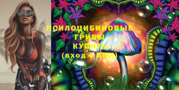 стафф Ачинск