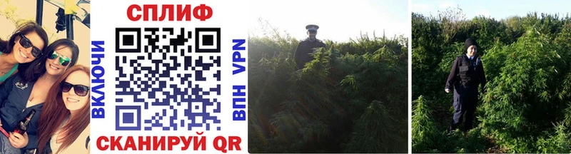Шишки марихуана LSD WEED  где продают   Хадыженск 